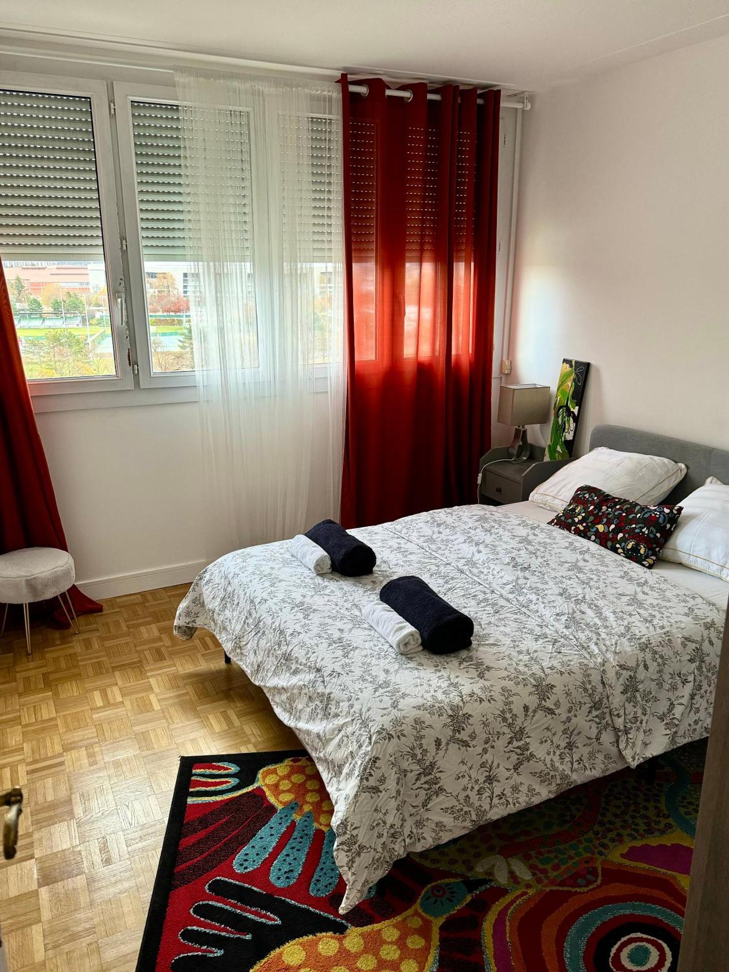 Bergson Top - Appart 80M2, 2 Grandes Chambres, Entierement Renovee Et Equipee, Lumineux, Wifi, Balcon, Calme, Vue Imprenable Saint-Etienne (Loire) Exterior foto
